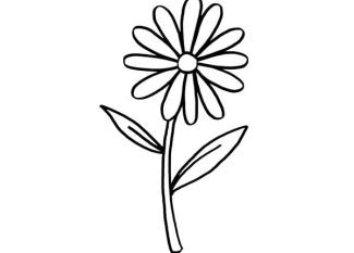Una margarita: dibujo para colorear e imprimir