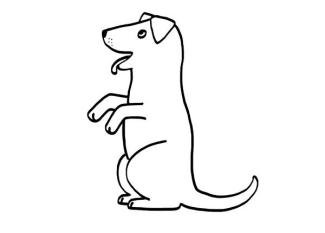 Perro. dibujo para colorear e imprimir