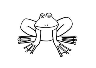 Rana: dibujo para imprimir y colorear