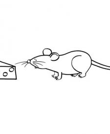 Ratón con queso: dibujo para colorear e imprimir