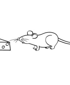 Ratón con queso: dibujo para colorear e imprimir