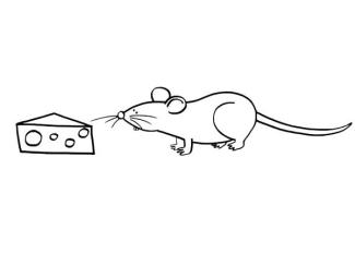 Ratón con queso: dibujo para colorear e imprimir