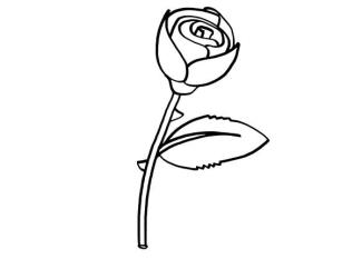 Rosa: dibujo para colorear e imprimir