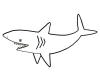 Tiburón: dibujo para colorear e imprimir