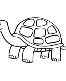 Tortuga: dibujo para colorear e imprimir