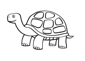Tortuga: dibujo para colorear e imprimir