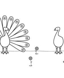 Pavos reales: dibujo para colorear e imprimir