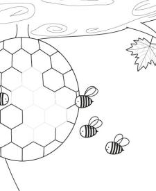 Panal de abejas: dibujo para colorear e imprimir