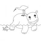 Hipopótamo: dibujo para colorear e imprimir