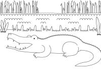 Un Cocodrilo Sonriente 22 Dibujos De Animales De La Selva Para