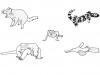 Animales monstruos: dibujo para colorear e imprimir