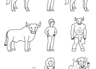 Criaturas híbridas: dibujo para colorear e imprimir