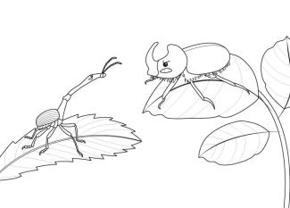 ¿Dinosaurio o insecto?: dibujo para colorear e imprimir