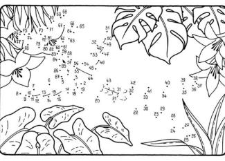 Dibujo de unir puntos de un colibrí: dibujo para colorear e imprimir