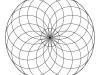Mandala de círculos: dibujo para colorear e imprimir