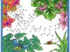 Dibujo de unir puntos de un colibrí y mariposa: dibujo para colorear e imprimir