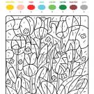 Dibujo mágico de tulipanes: dibujo para colorear e imprimir