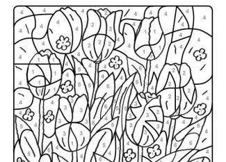 Dibujo mágico de tulipanes: dibujo para colorear e imprimir