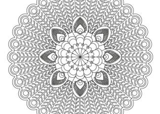 Mandala de pavo real: dibujo para colorear e imprimir