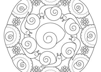 Mandala caracol: dibujo para colorear e imprimir