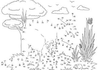Dibujo de unir puntos de canguro con bebé: dibujo para colorear e imprimir
