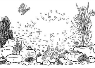 Dibujo de unir puntos de una tortuga: dibujo para colorear e imprimir