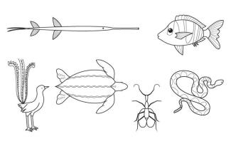 Animales musicales: dibujo para colorear e imprimir