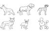 Razas de perros: dibujo para colorear e imprimir