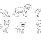 Razas de perros: dibujo para colorear e imprimir