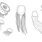 Medusas: dibujo para colorear e imprimir