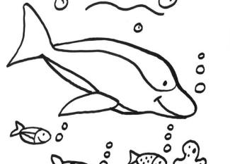 Delfín bajo el agua: dibujo para colorear e imprimir