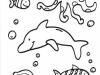 Delfines y animales acuáticos: dibujo para colorear e imprimir