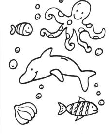 Delfines y animales acuáticos: dibujo para colorear e imprimir