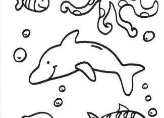 Delfines y animales acuáticos: dibujo para colorear e imprimir