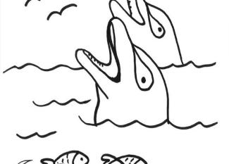 Delfines en el mar: dibujo para colorear e imprimir
