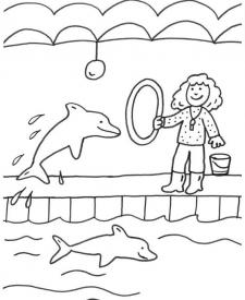 Delfín y adiestradora: dibujo para colorear e imprimir