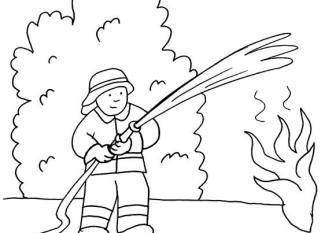 Bombero echando agua: dibujo para colorear e imprimir