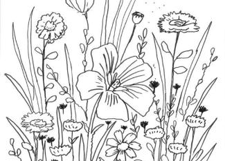 Flores y mariposa: dibujo para colorear e imprimir