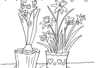 Narcisos y jacintos: dibujo para colorear e imprimir