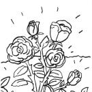 Rosas: dibujo para colorear e imprimir