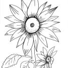 Girasoles: dibujo para colorear e imprimir