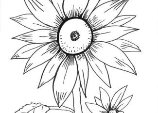 Girasoles: dibujo para colorear e imprimir