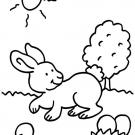 Conejo en el campo: dibujo para colorear e imprimir