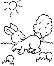 Conejo en el campo: dibujo para colorear e imprimir