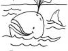 Ballena echando agua: dibujo para colorear e imprimir