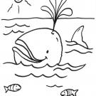 Ballena echando agua: dibujo para colorear e imprimir