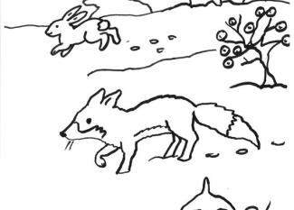 Carrera de zorro y conejo: dibujo para colorear e imprimir