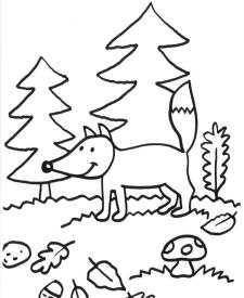 Zorro en el bosque: dibujo para colorear e imprimir