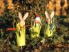 Manualidad infantil para fabricar conejos de pascua y gallina de primavera