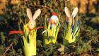 Conejos de Pascua y gallina de primavera: manualidad para niños